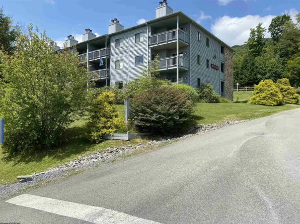 31 Beech Lodge Ct #234, Davis, WV 26260