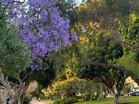 Just Steps away from jogging Green belt
