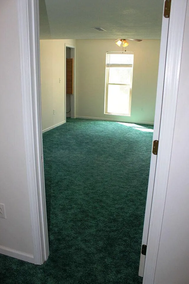 19571 7 Sisters Road — Photo 4