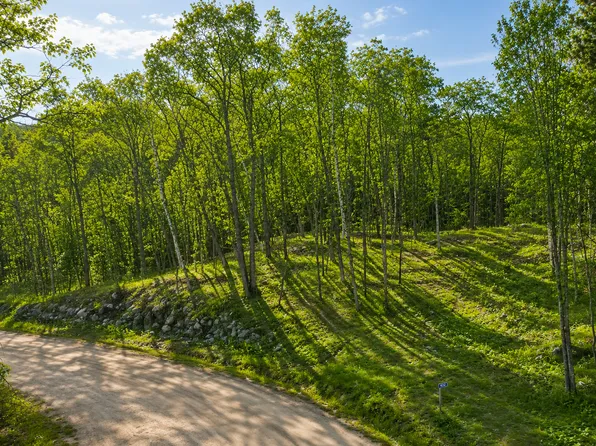 480 Ridgeway Ln, Walker, MN 56484