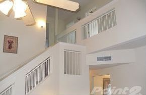 3rd image of 261 Ferinand Ct