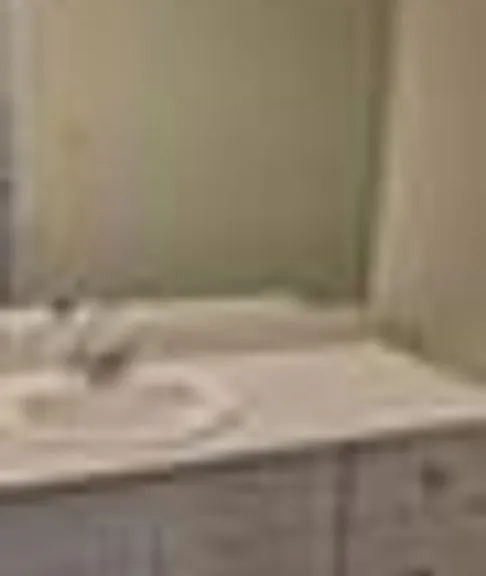 623 Colgate Cir — Photo 11