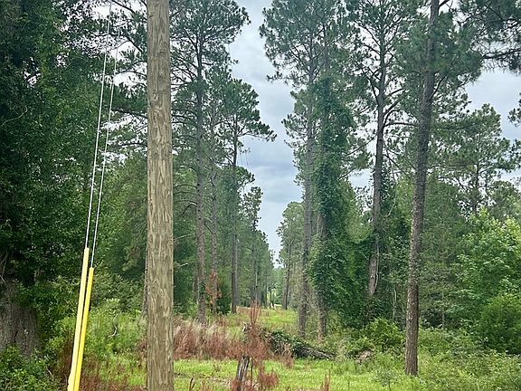 3rd image of 1182 Jacksonville Hwy