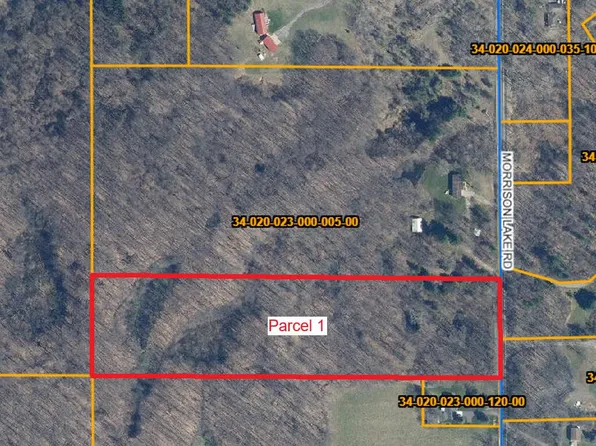 6286 Morrison Lake Rd Parcel 1, Saranac, MI 48881