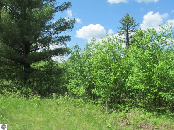 0 White Pine Dr, Cadillac, MI 49601