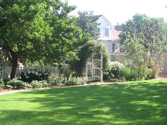 Back yard north view