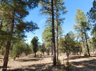 3238 Jeep Trl, Overgaard, AZ 85933