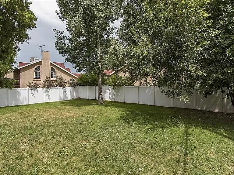 Back yard