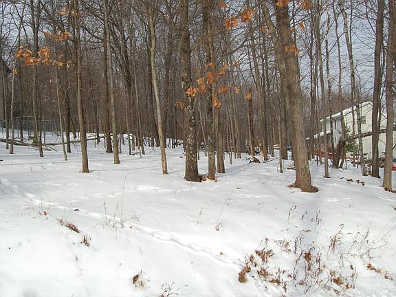 5th image of 4139 White Birch Dr