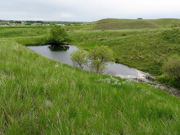 5th image of 55563 Highway 2