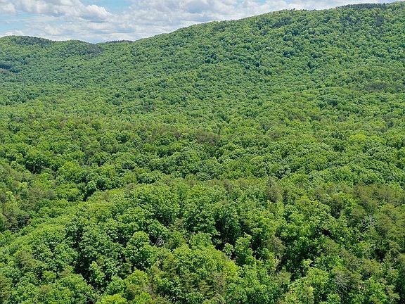 5th image of 604 Solomon Seal Way Lot 39