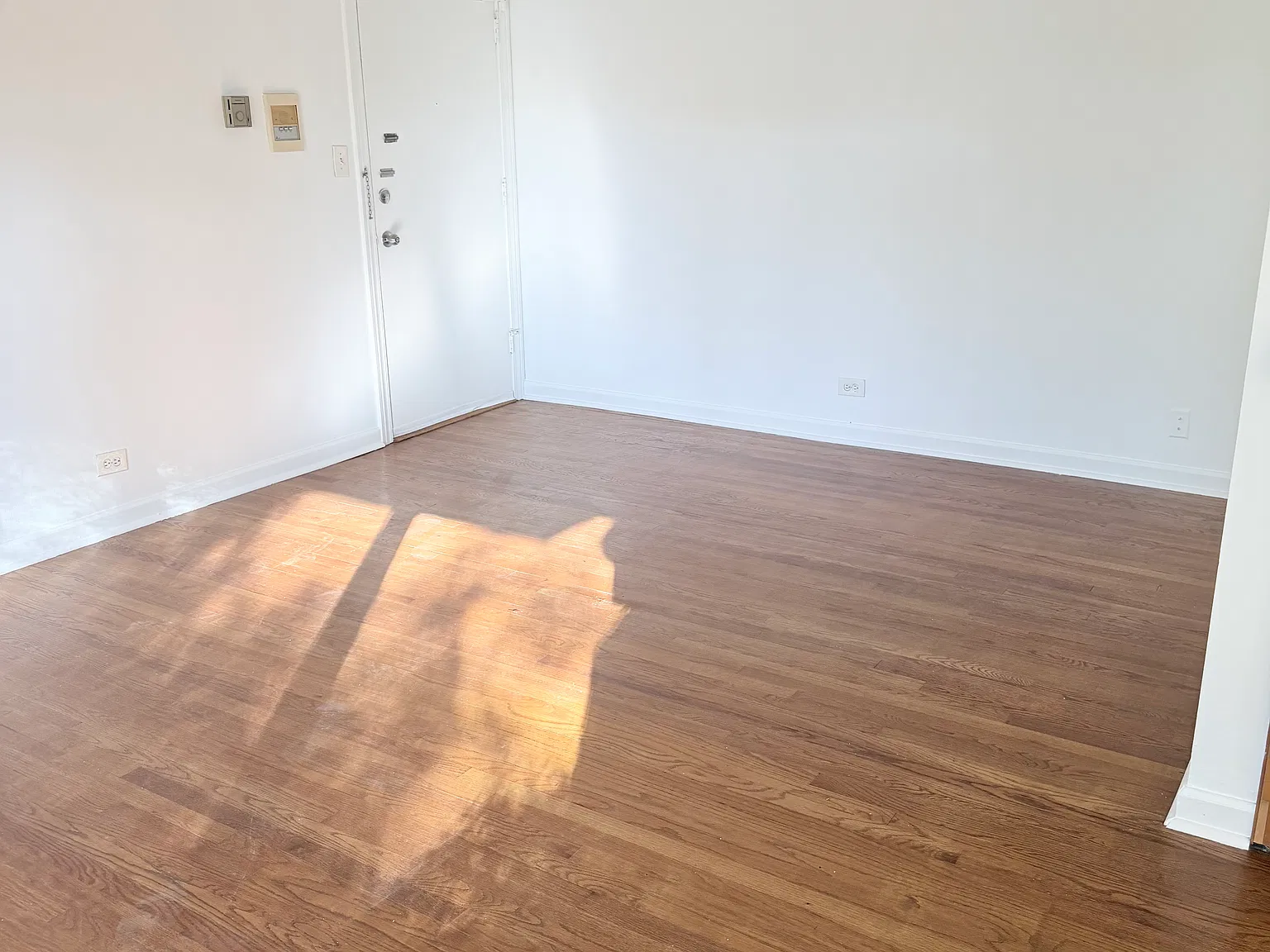 1 bed, 700 sqft, $1,600 — Photo 3
