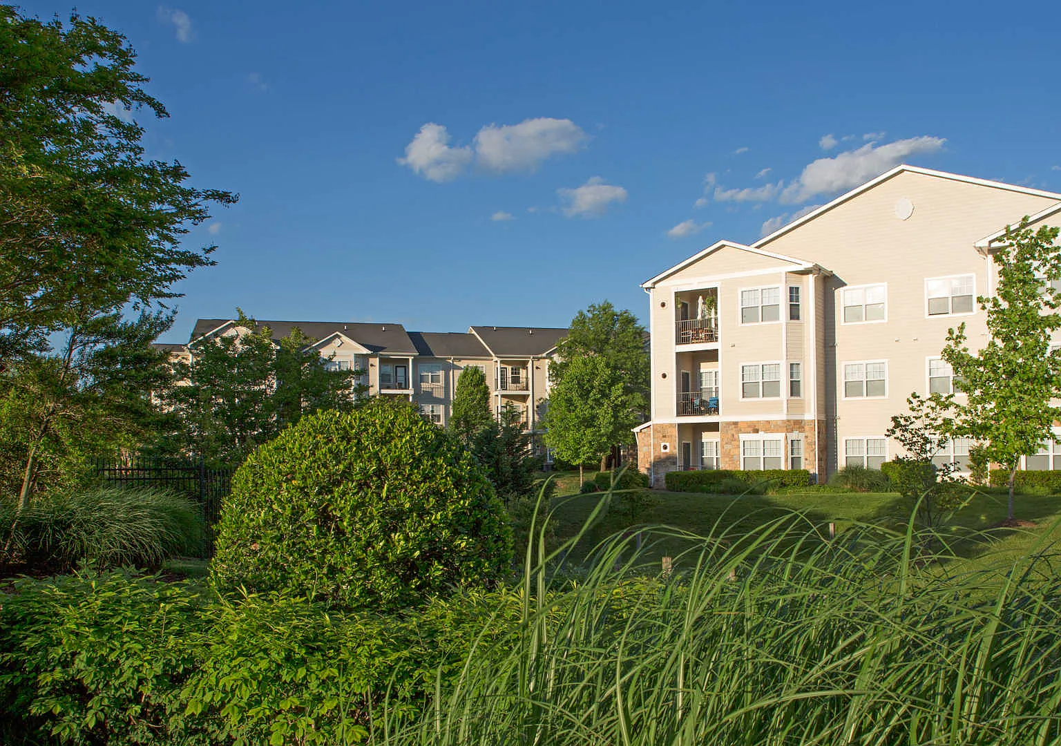 The Reserve at Fairfax Corner — Photo 4