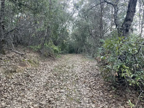 0 Defender Grade Rd, Pioneer, CA 95666