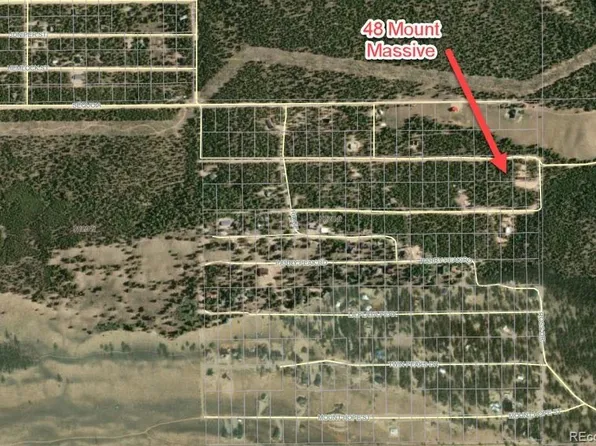 48 Mount Massive Road, Twin Lakes, CO 81251