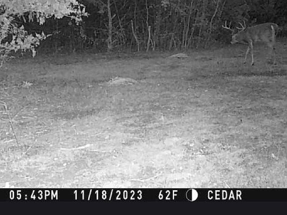 5th image of Fm 902 E Fm 902