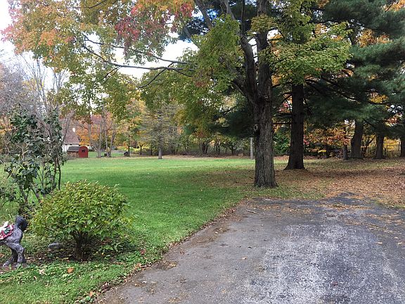 Back yard from the driveway