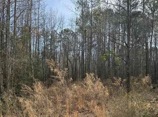 364 Longhorn Ln, Cheraw, SC 29520