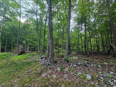 4 High Point Dr, Montague, NJ, 07827