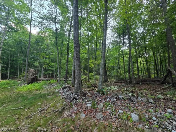 4 High Point Dr, Montague Twp., NJ 07827