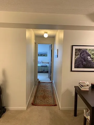 17 Healey St #202 — Photo 5