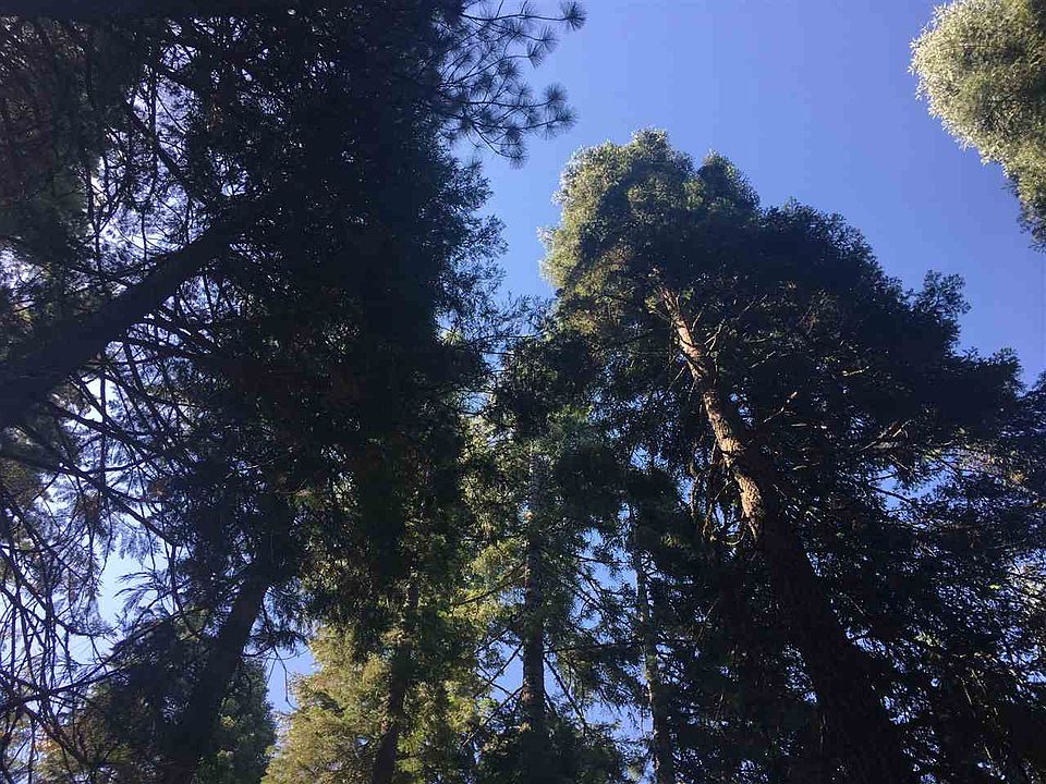 2nd image of 130 Lake Almanor West Dr