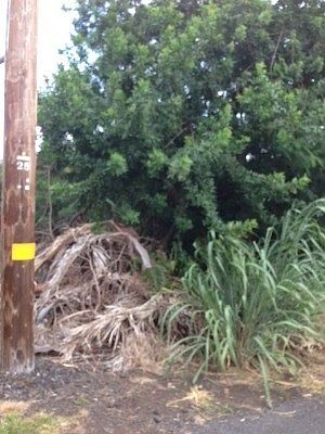 2nd image of Kaulua Cir Lot 125