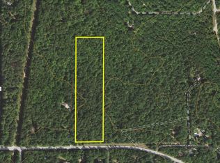 Wolf Lake Rd, Lewiston, MI 49756