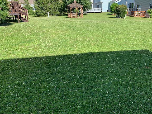 Large common grounds