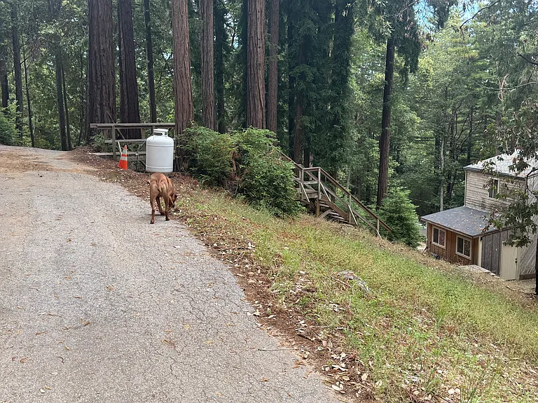 333 Waterman Gap Loop — Photo 38