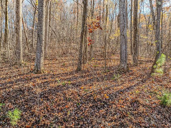 4th image of 0 Laurel Lake Cir