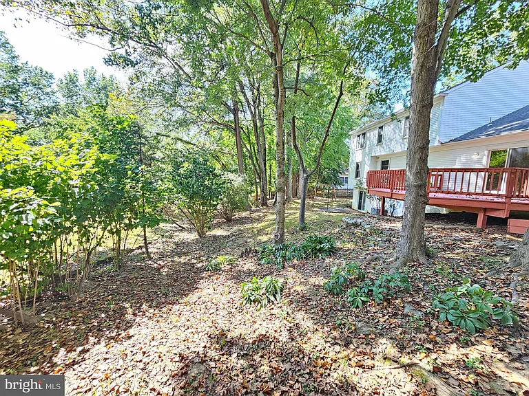 11321 Classical Ln — Photo 61