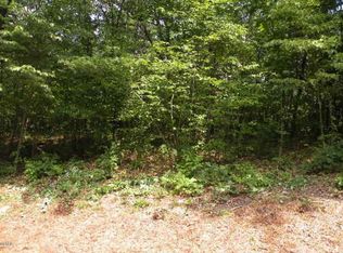 5081 Mountain Ridge Dr NE, Ada, MI 49301