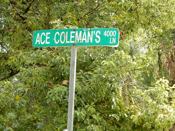 5th image of 4045 Ace Coleman Ln