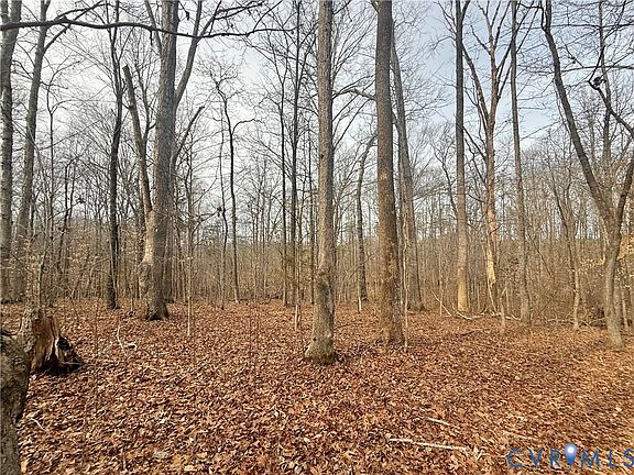 4th image of 62 Willis Bluff Ln