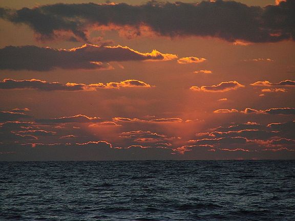 Gulf of Mexico 5 miles from home