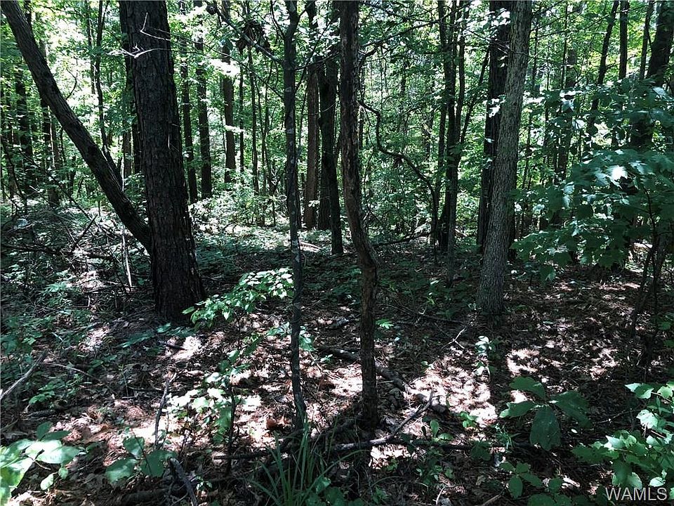 2nd image of 00 Parsons Rd