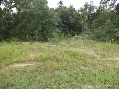 2744 W Redgate Dr, Citrus Springs, FL, 34433