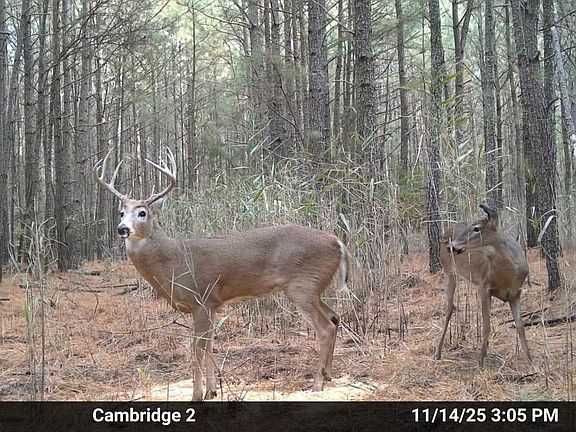 5th image of Hudson Rd