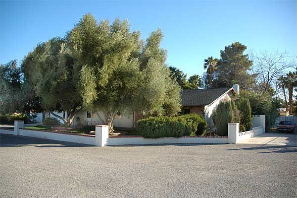 Front Yard
