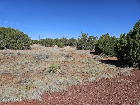 1798 Doughty Pl #361, Show Low, AZ 85901