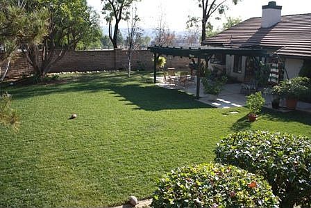 Large backyard