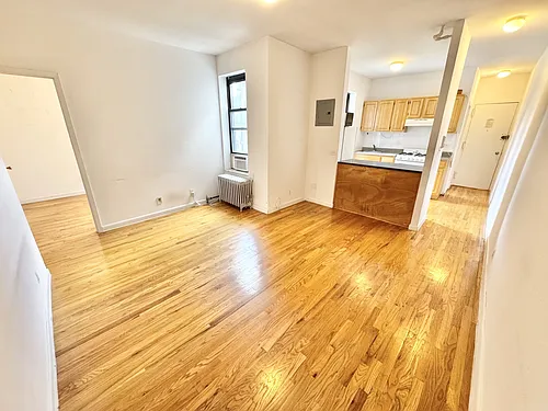 352 W 15th St #501 Photo 1
