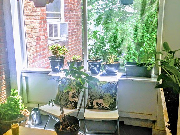 4th image of 605 N Irving St APT 22