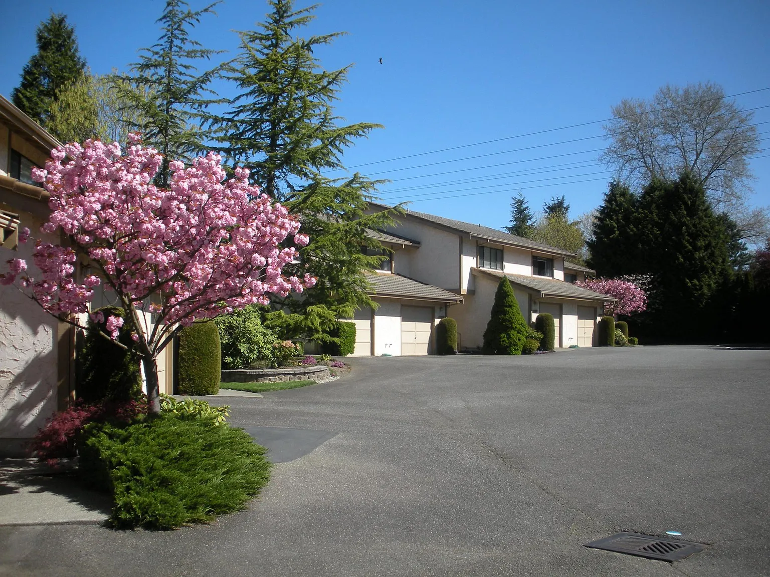 2 bed, 1.5 bath, 1200 sqft, $2,900 — Photo 2