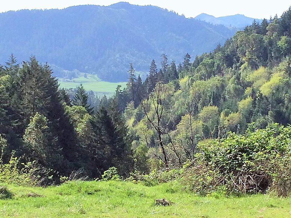 1st image of Days Creek Cutoff
