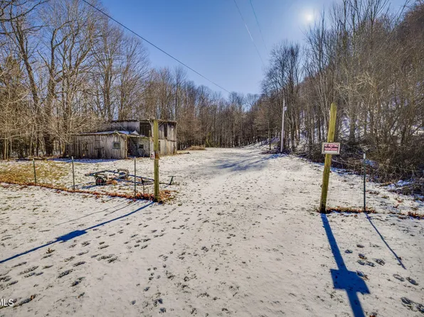 140 Doe Ln, Roan Mountain, TN 37687