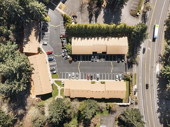 Drone View