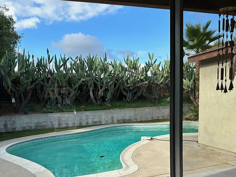 Backyard Patio and Pool
