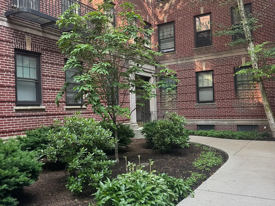 38 Linnaean St #3